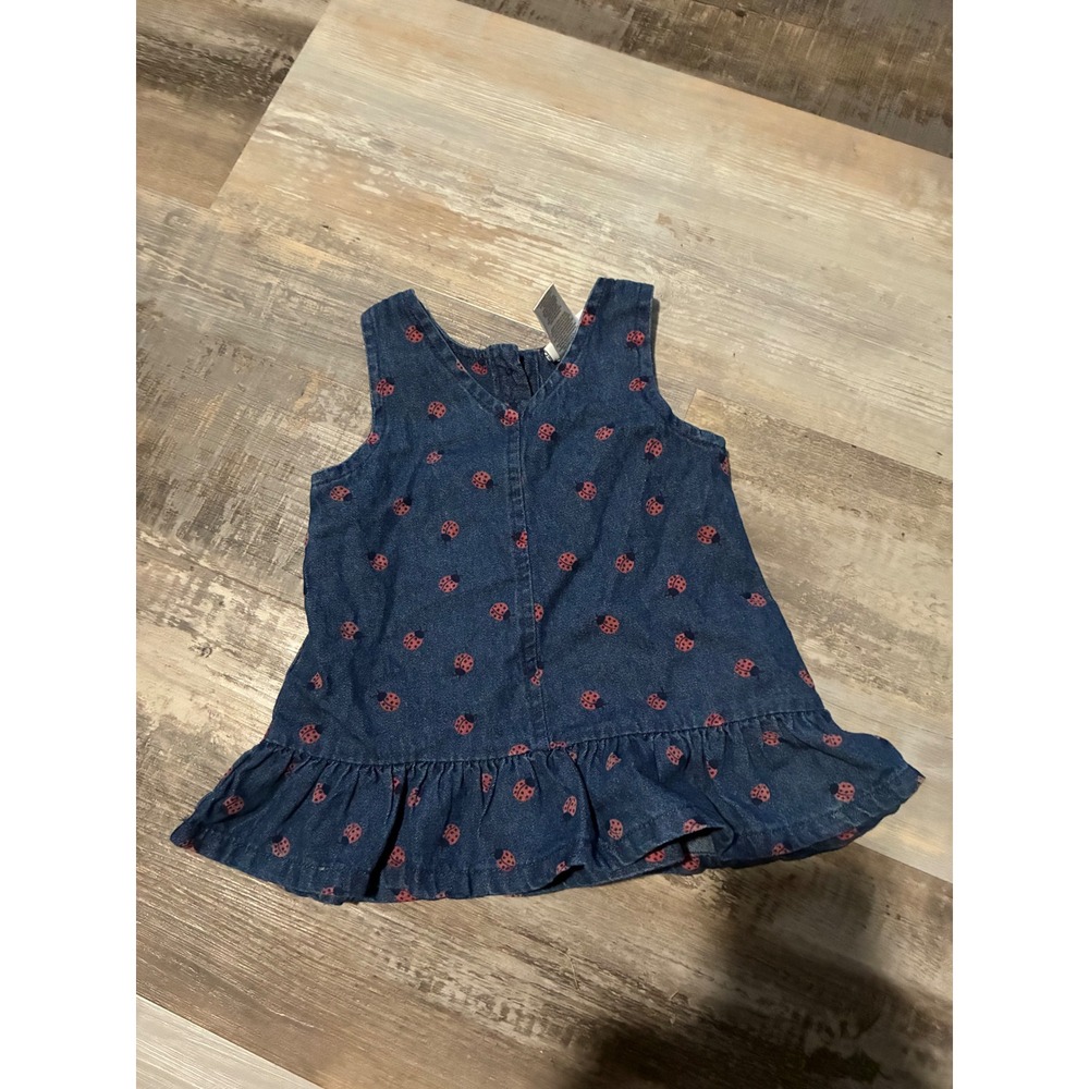 Nicole Miller New York Baby Girl Denim Ladybug Print Ruffle Hem Dress 6/9M